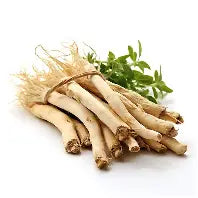 Astragalus Root - Organic
