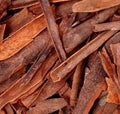 Cassia Cinnamon - Organic