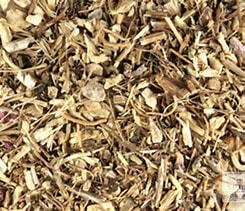 Echinacea angustifolia Root - Organic