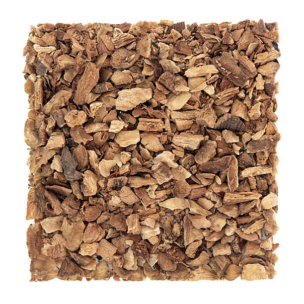 Gentian Root - Organic
