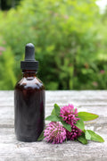 Red Clover Blossoms Extract - Organic