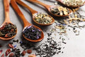 Kidney & Urinary Support Tea