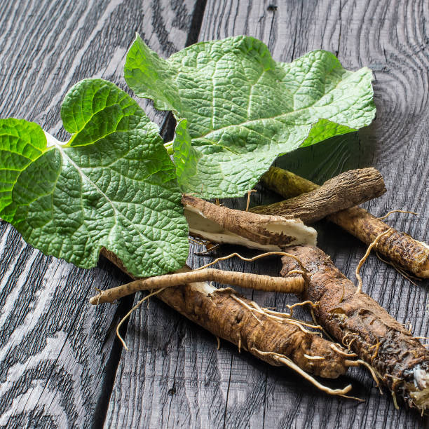 Burdock Root - Organic