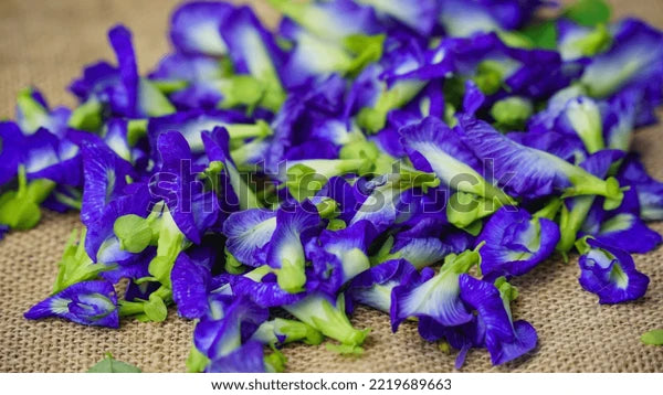 Butterfly Pea Flowers - Organic