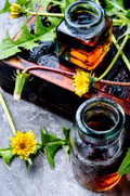 Dandelion Leaf Extract - Organic