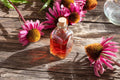 Echinacea purpurea Extract - Organic
