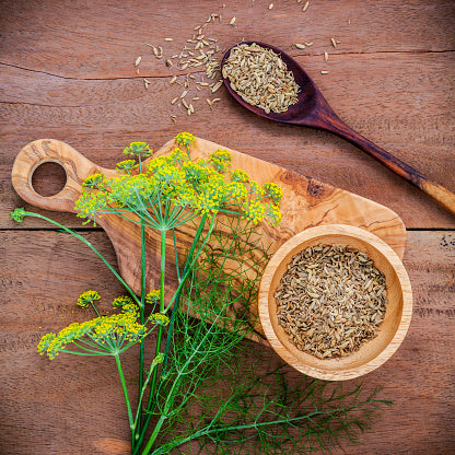 Fennel Seed - Organic