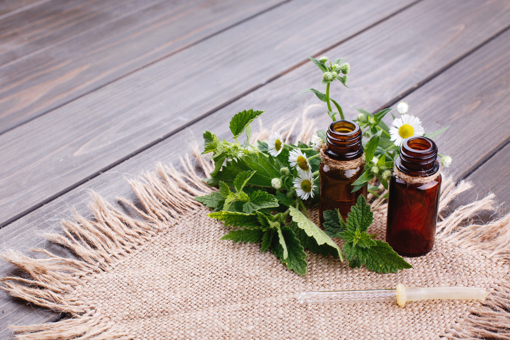 Lemon Balm Herbal Extract-Organic