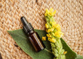 Mullein Extract - Triple Filtered - Organic