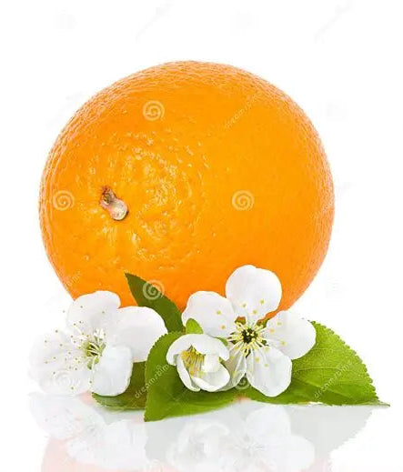 Orange Peel, Dried - Organic