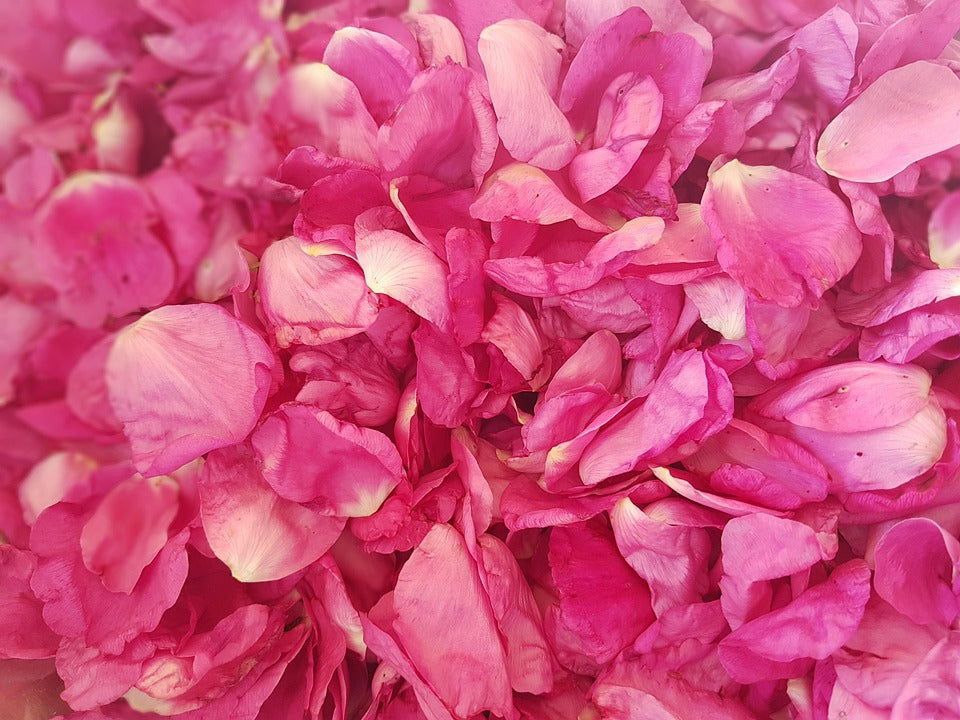 Rose Petals, Pink or Red - Organic