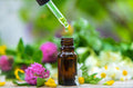Hormone Balance Extract -Organic